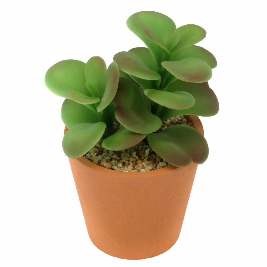 D Cor & Pillows * | Bargain Sale 5In Jade Plant In Pot