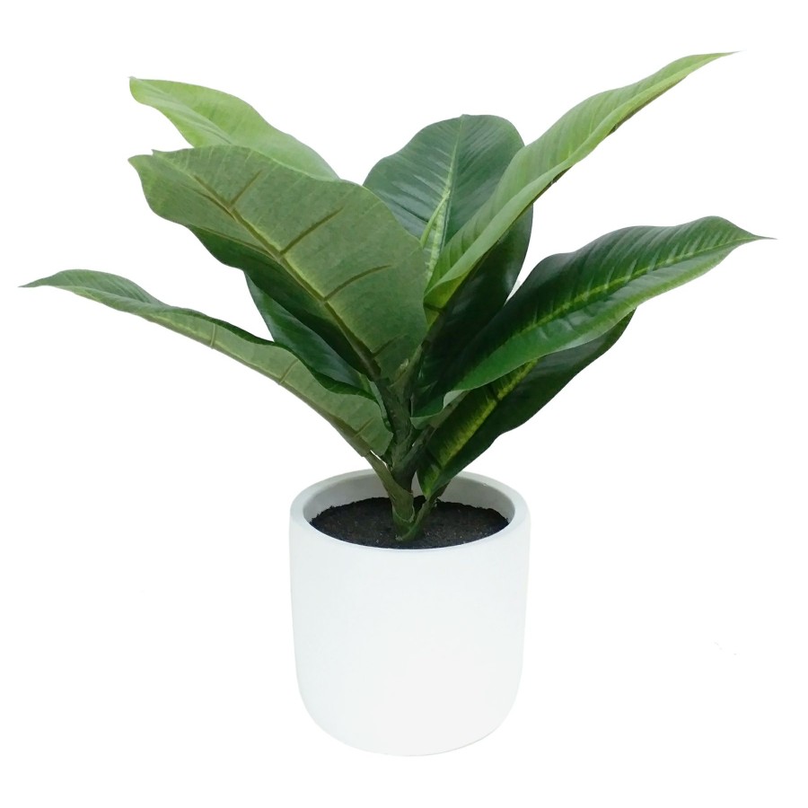 D Cor & Pillows * | Clearance Sale 13In Rubber Plant In Pot Green