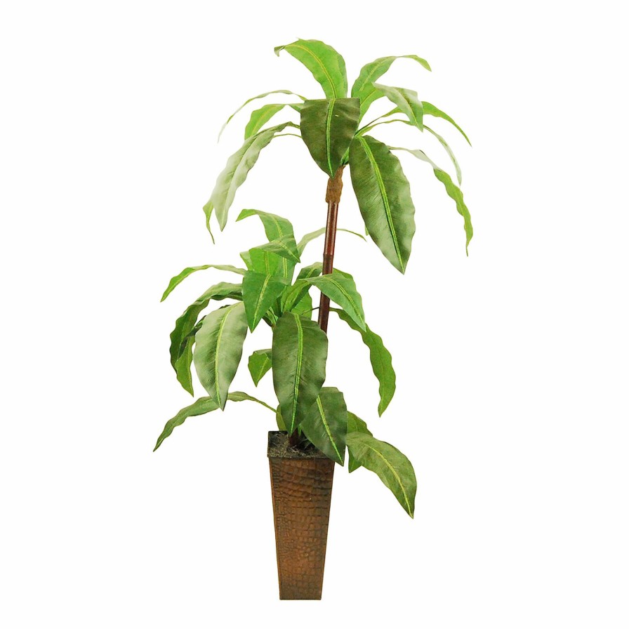 D Cor & Pillows * | Bargain Sale Bird'S Nest Fern With Brown Metal Planter, 5.5