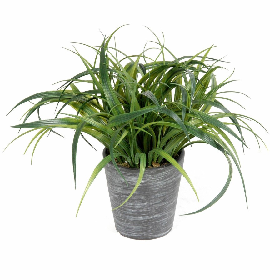 D Cor & Pillows * | Premium Grass Plant Arrangement With Planter, 8