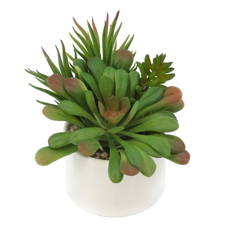 D Cor & Pillows * | Sale 5.5In Mixed Succulent Pot