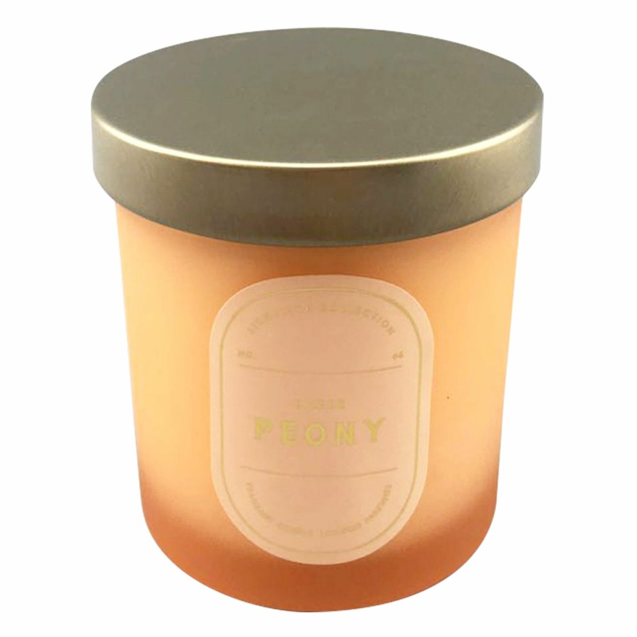 D Cor & Pillows * | Premium Sheer Peony Boxed Scented Jar Candle, 5.5