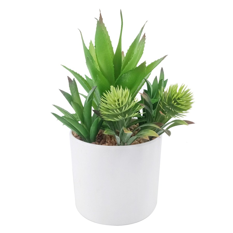 D Cor & Pillows * | Attractive 6.5In Succulent Melamine