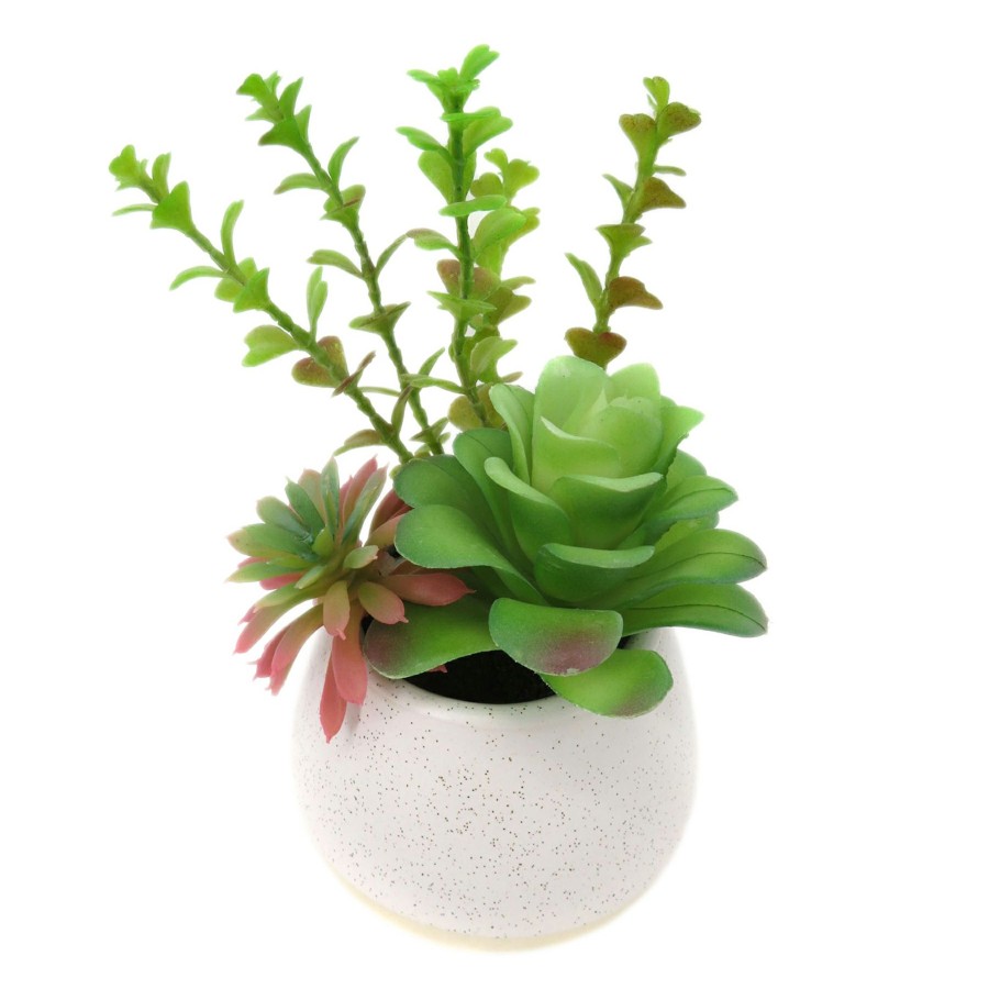 D Cor & Pillows * | Bargain Sale 7.5In Mixed Succulent Pot Wht