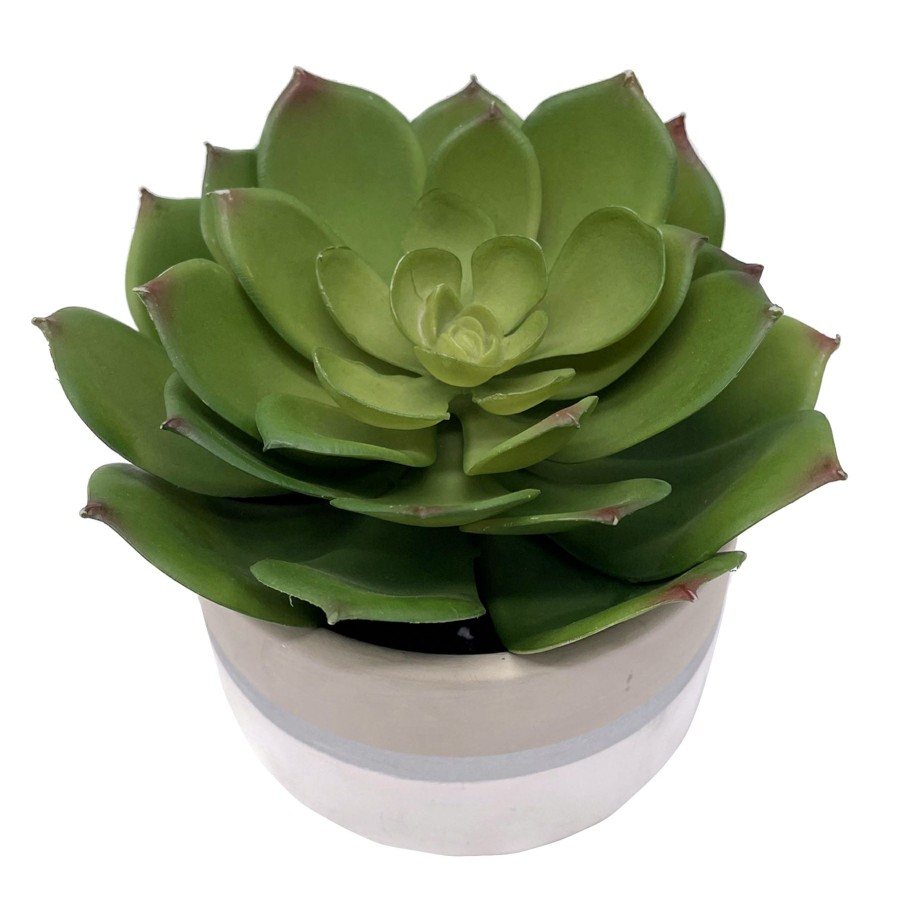 D Cor & Pillows * | Exquisite Gifts Succulent Lotus With White Ceramic Planter, 5