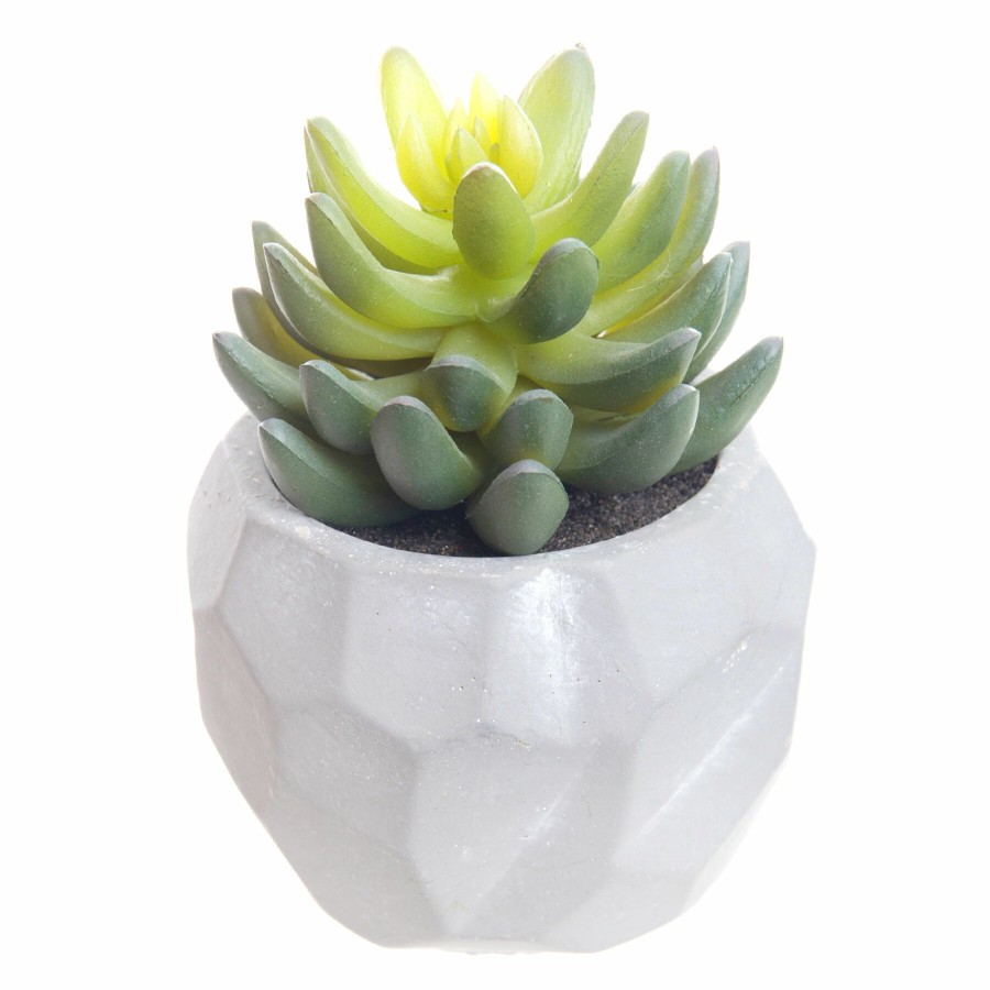 D Cor & Pillows * | Top Sellers Mini Agave With White Planter, 5.5