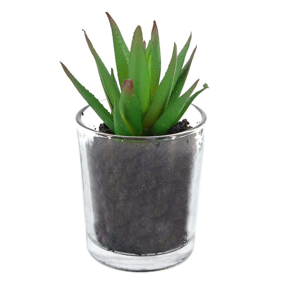 D Cor & Pillows * | Premium 4In Succulents Glass Grn