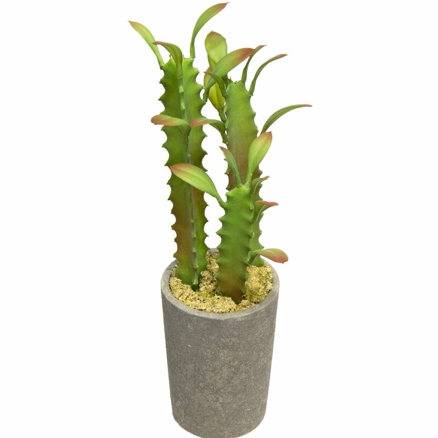 D Cor & Pillows * | Closeout Sale Assorted Cacti With Cement Planter, 8