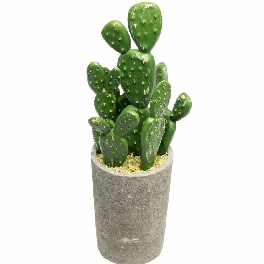 D Cor & Pillows * | Closeout Sale Assorted Cacti With Cement Planter, 8