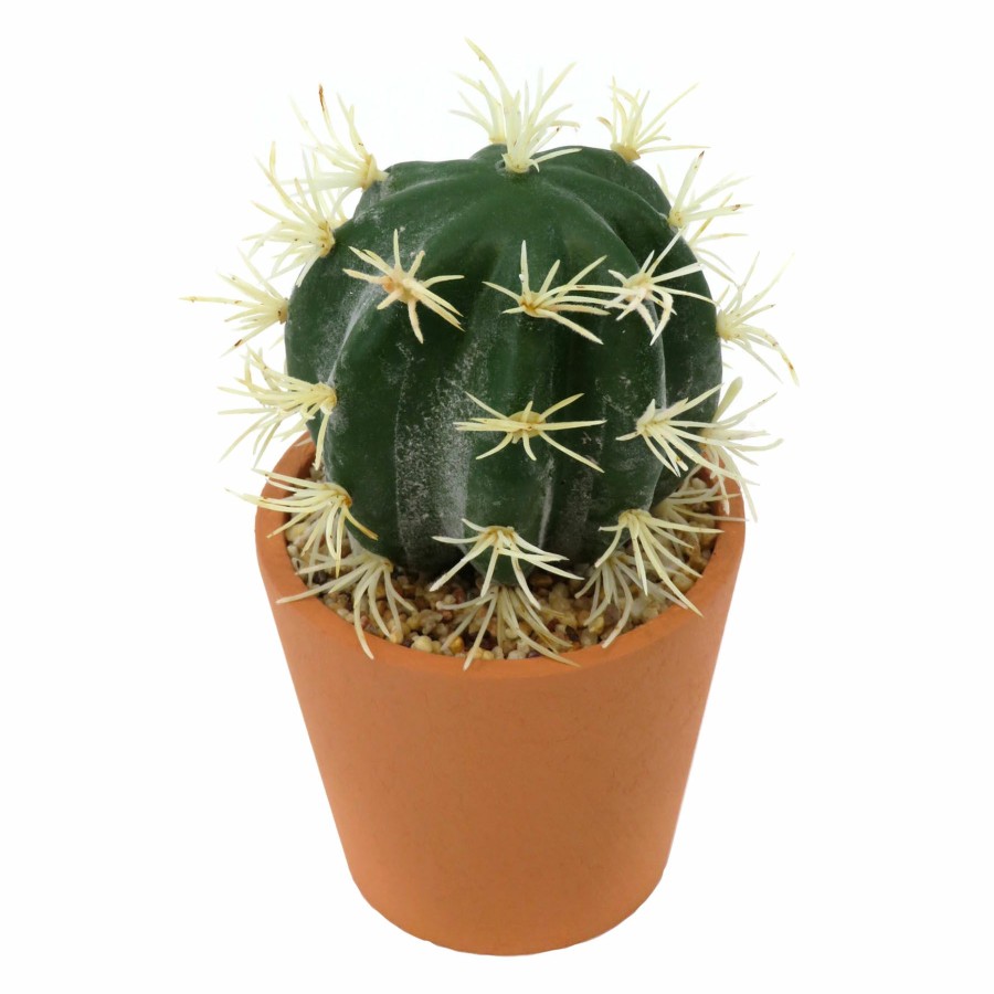 D Cor & Pillows * | Top Sellers 5In Barrel Cactus In Pot