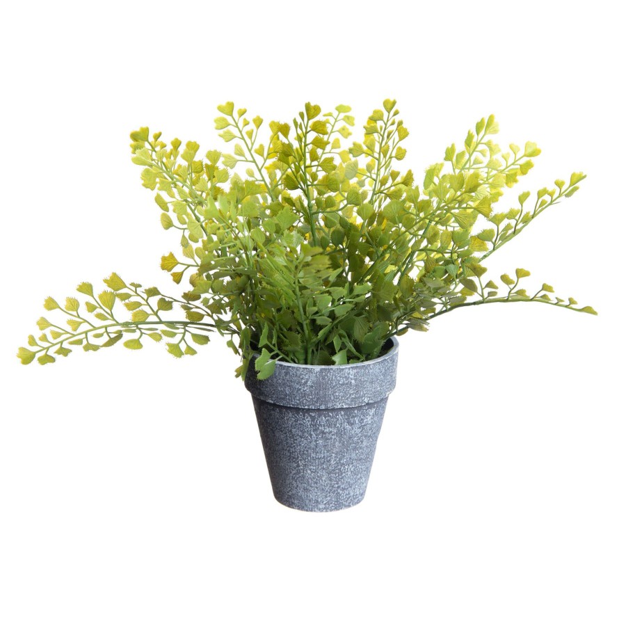 D Cor & Pillows * | Outlet Sale Honeybloom Faux Maidenhair Fern In Grey Ceramic Pot