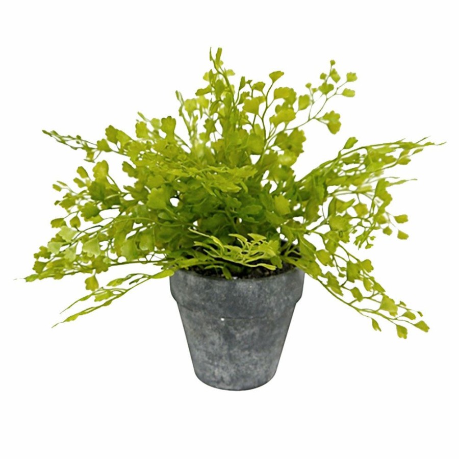 D Cor & Pillows * | Outlet Sale Honeybloom Faux Maidenhair Fern In Grey Ceramic Pot