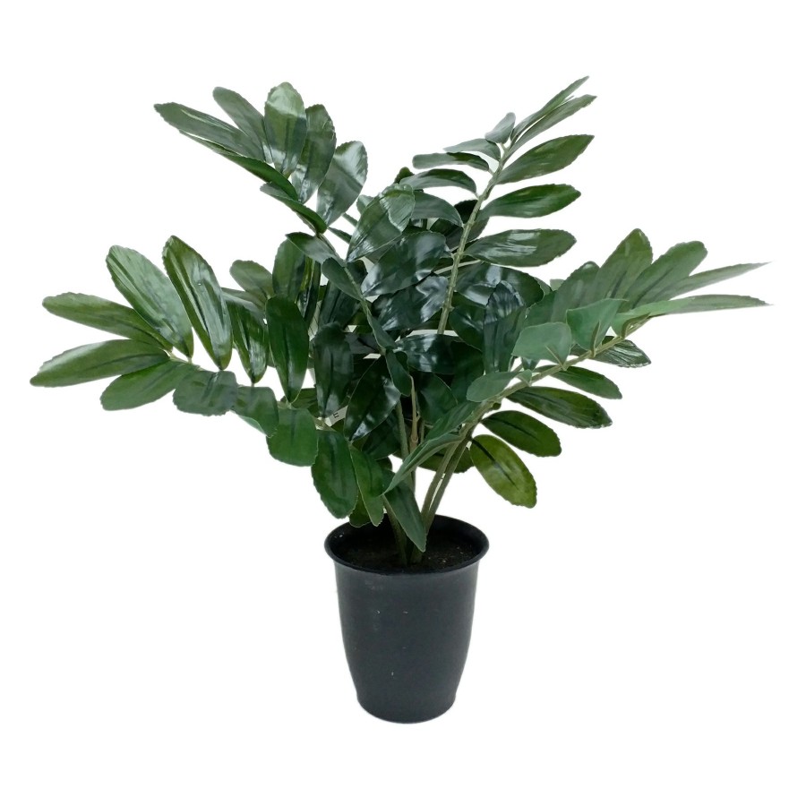 D Cor & Pillows * | Reliable Quality 14In Zamia In Pot Black