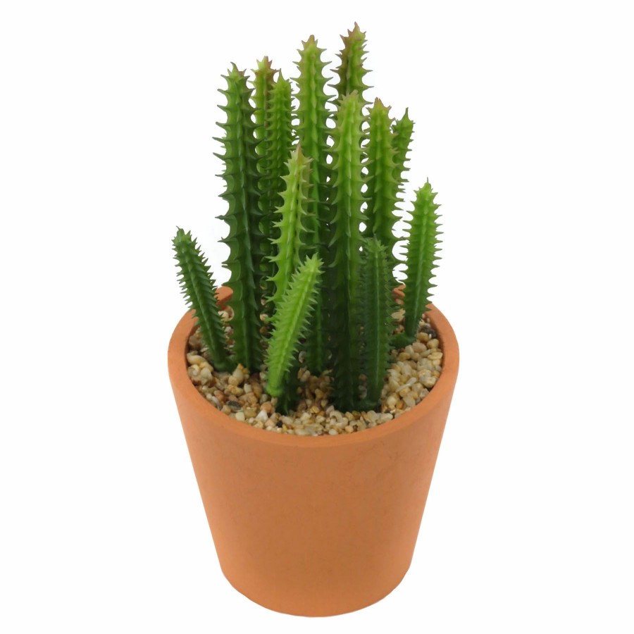 D Cor & Pillows * | Premium Cactus In Pot, 6