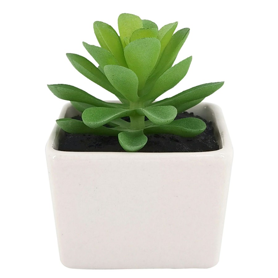 D Cor & Pillows * | Exclusive Design Green Succulent With White Ceramic Planter, 3