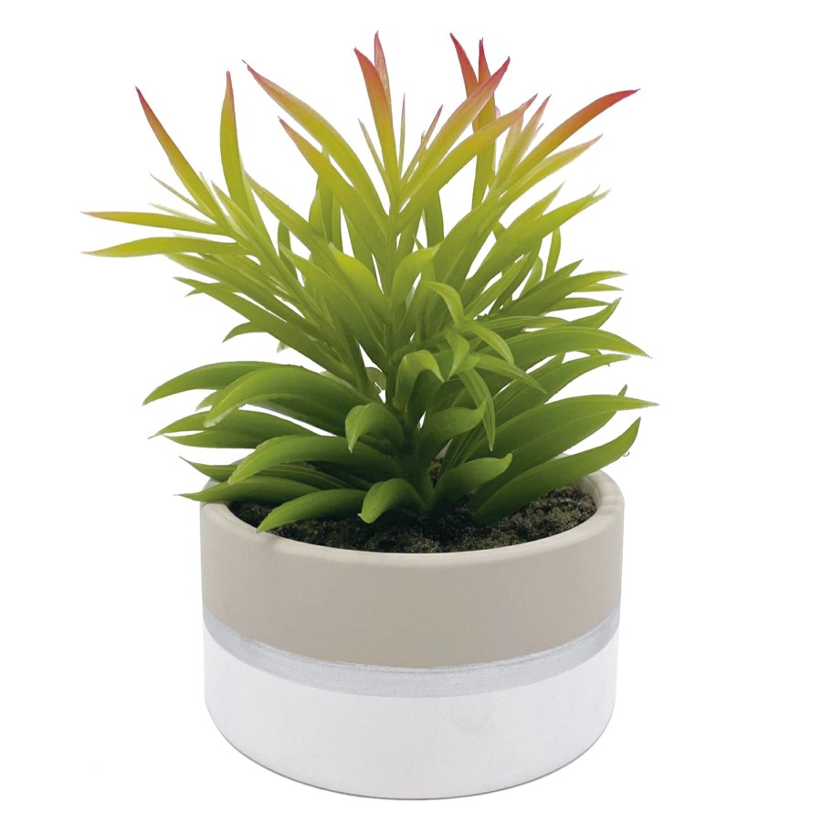 D Cor & Pillows * | Best Sellers Succulent In Ceramic Pot