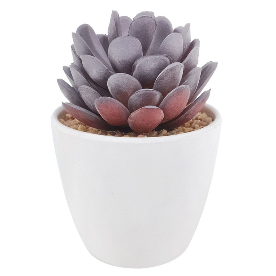 D Cor & Pillows * | Low Price 4.5In Succulent Melamine