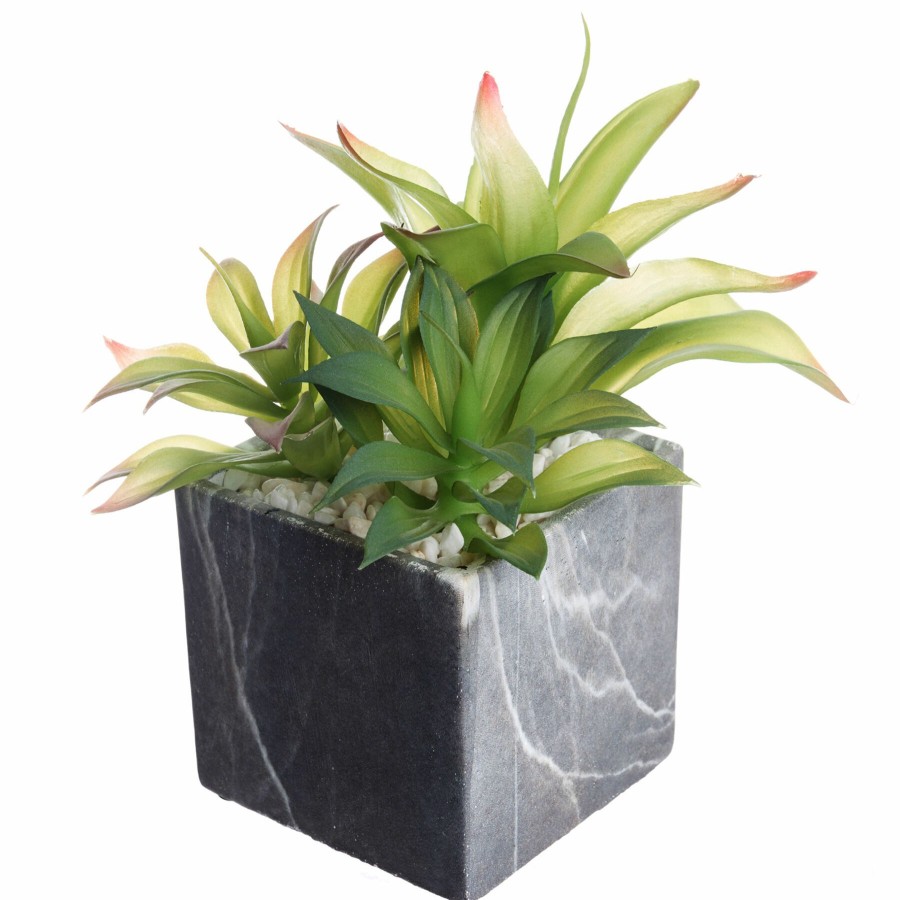 D Cor & Pillows * | Featured Agave Plant With Cement Planter, 9