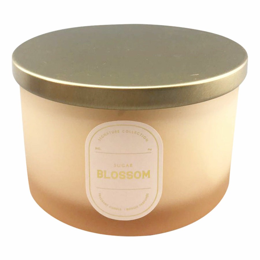 D Cor & Pillows * | Closeout Sale 3-Wick Sugar Blossom Scented Jar Candle, 16Oz