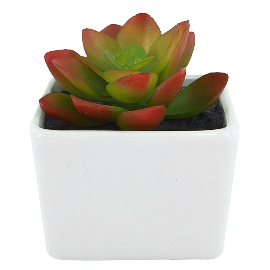 D Cor & Pillows * | Outlet Sale Succulents Ceramic Red/Grn