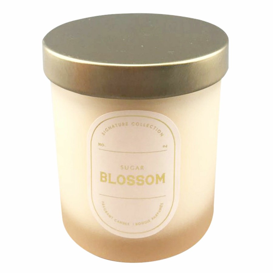 D Cor & Pillows * | Featured Sugar Blossom Boxed Scented Jar Candle, 5.5