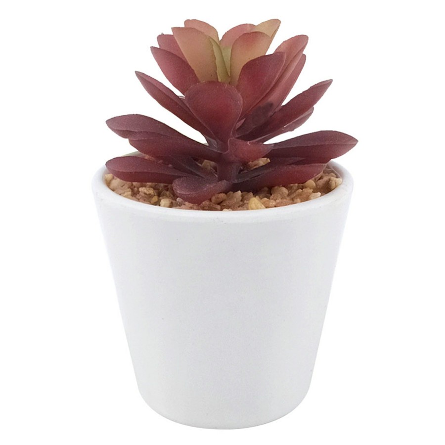 D Cor & Pillows * | Reliable Quality Succulent In White Melamine Pot, 4.25