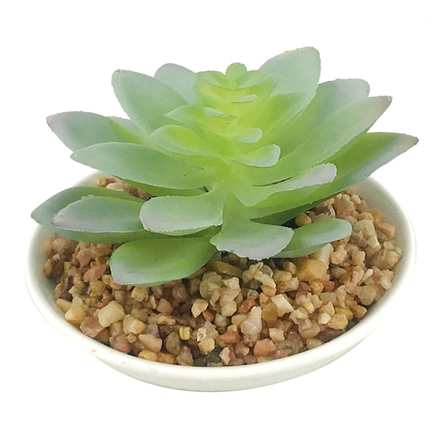 D Cor & Pillows * | Discount Sale 3.7In Succulent Plasitcpot Whit