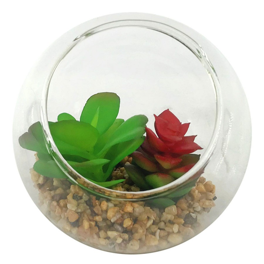 D Cor & Pillows * | Exquisite Gifts 4.75In Succulents Glass Bowl