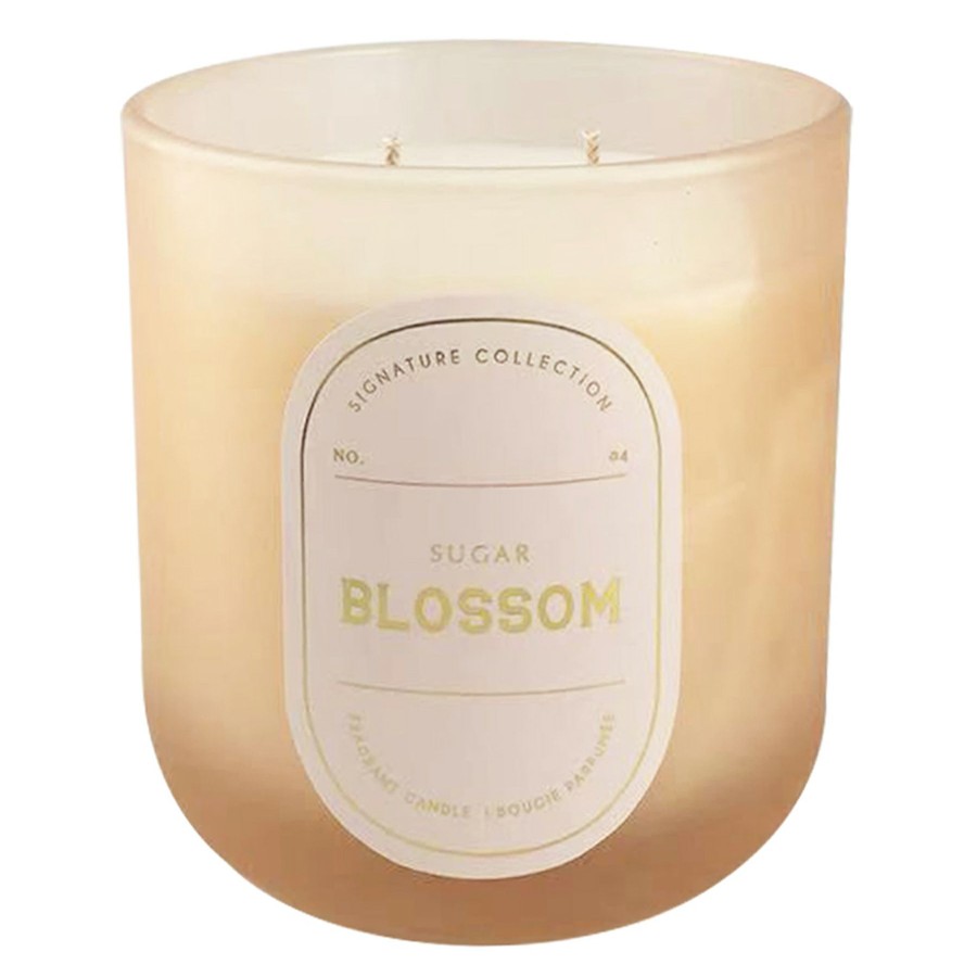 D Cor & Pillows * | Exclusive 2-Wick Sugar Blossom Scented Jar Candle, 12.5Oz