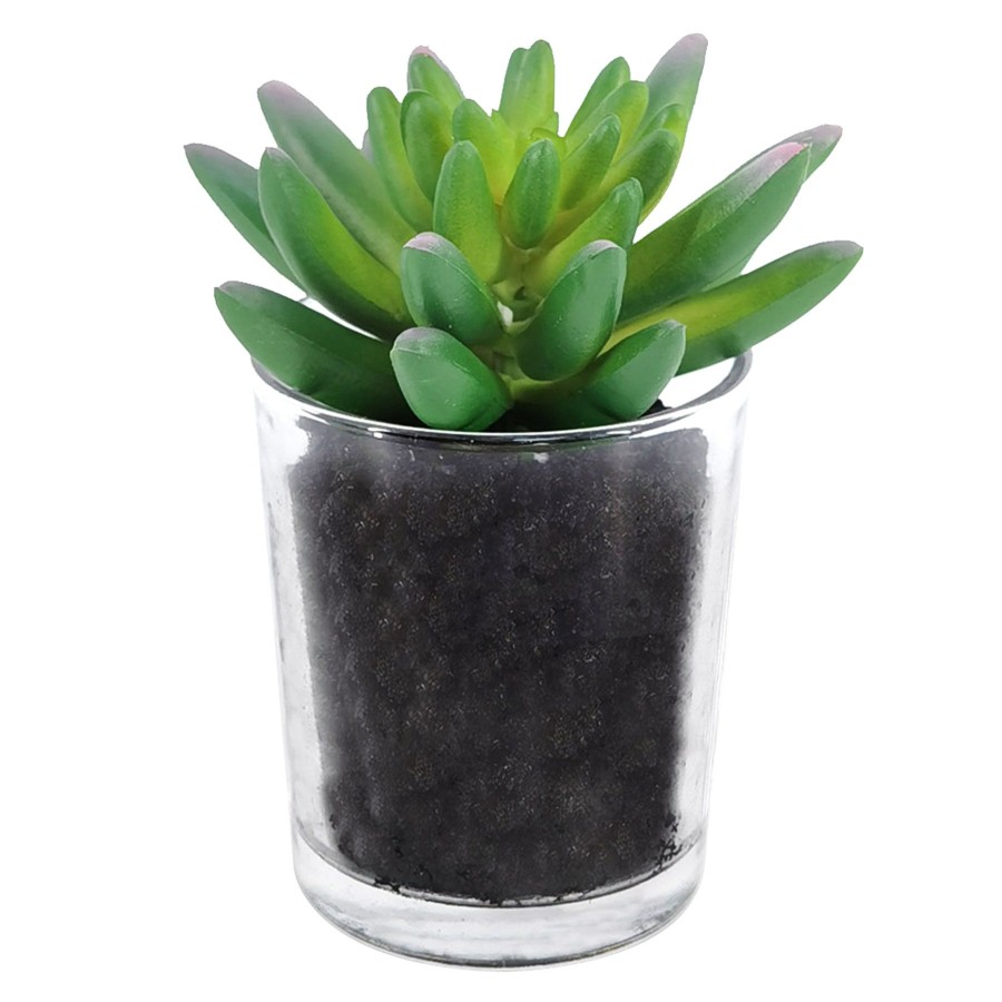 D Cor & Pillows * | Exclusive Design Succulents Glass Green