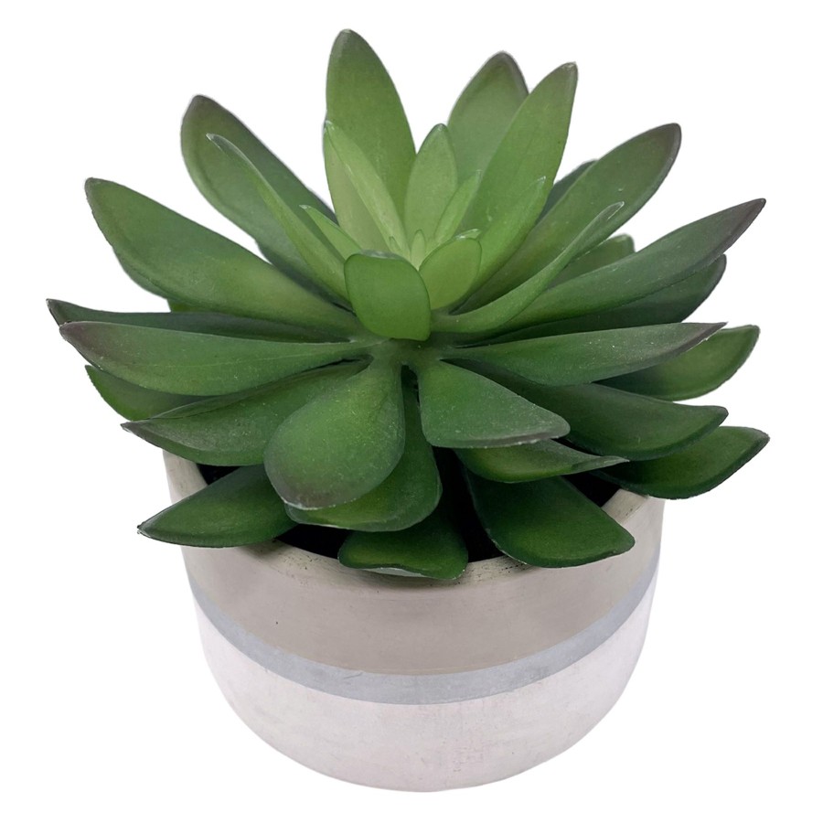 D Cor & Pillows * | Featured Succulent With White Ceramic Planter, 4