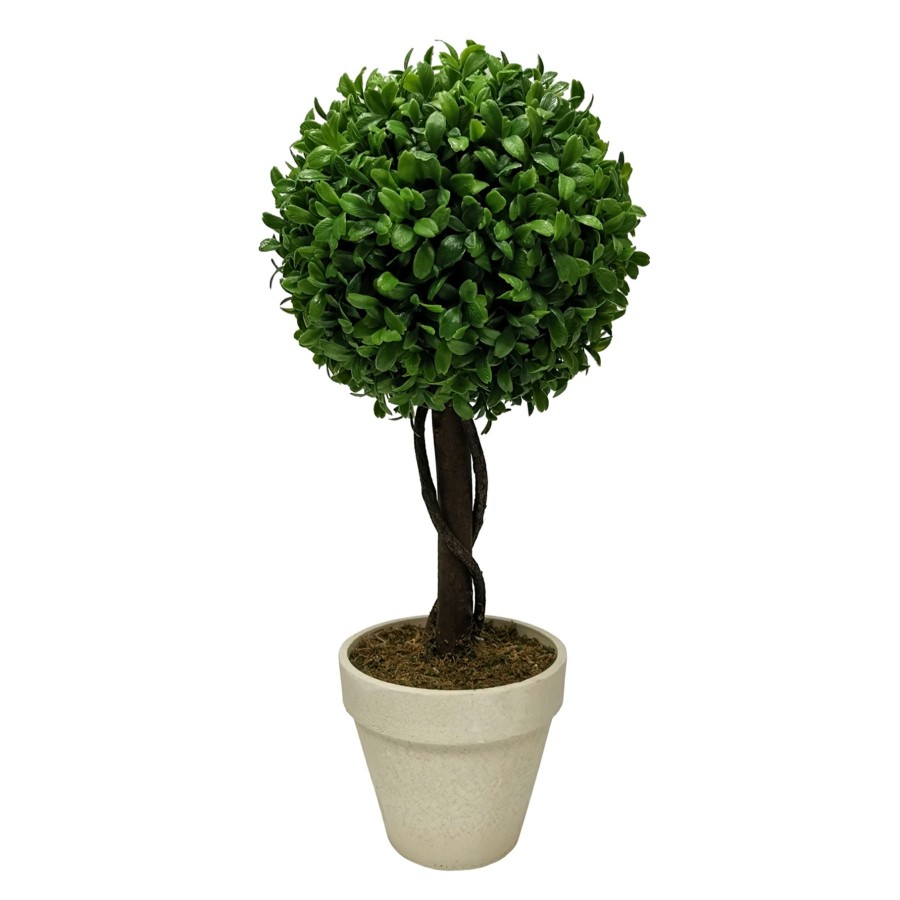 D Cor & Pillows * | Premium Boxwood Ball Plant With White Planter, 17