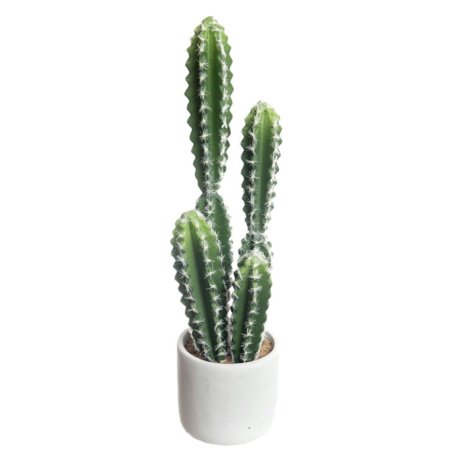 D Cor & Pillows * | Low Price Cactus With White Planter, 18