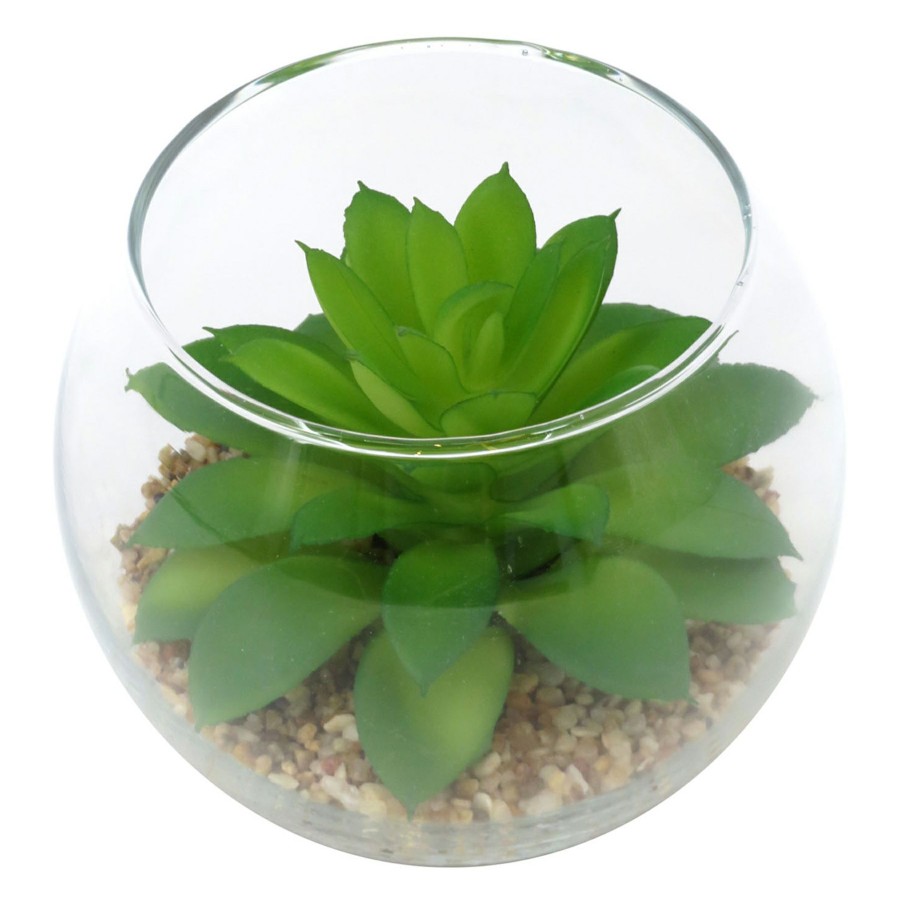 D Cor & Pillows * | Exclusive 3.5In Echeveria Glass Green