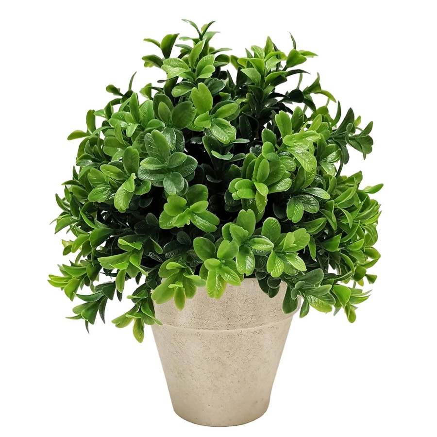 D Cor & Pillows * | Closeout Sale Boxwood Plant With White Planter, 8