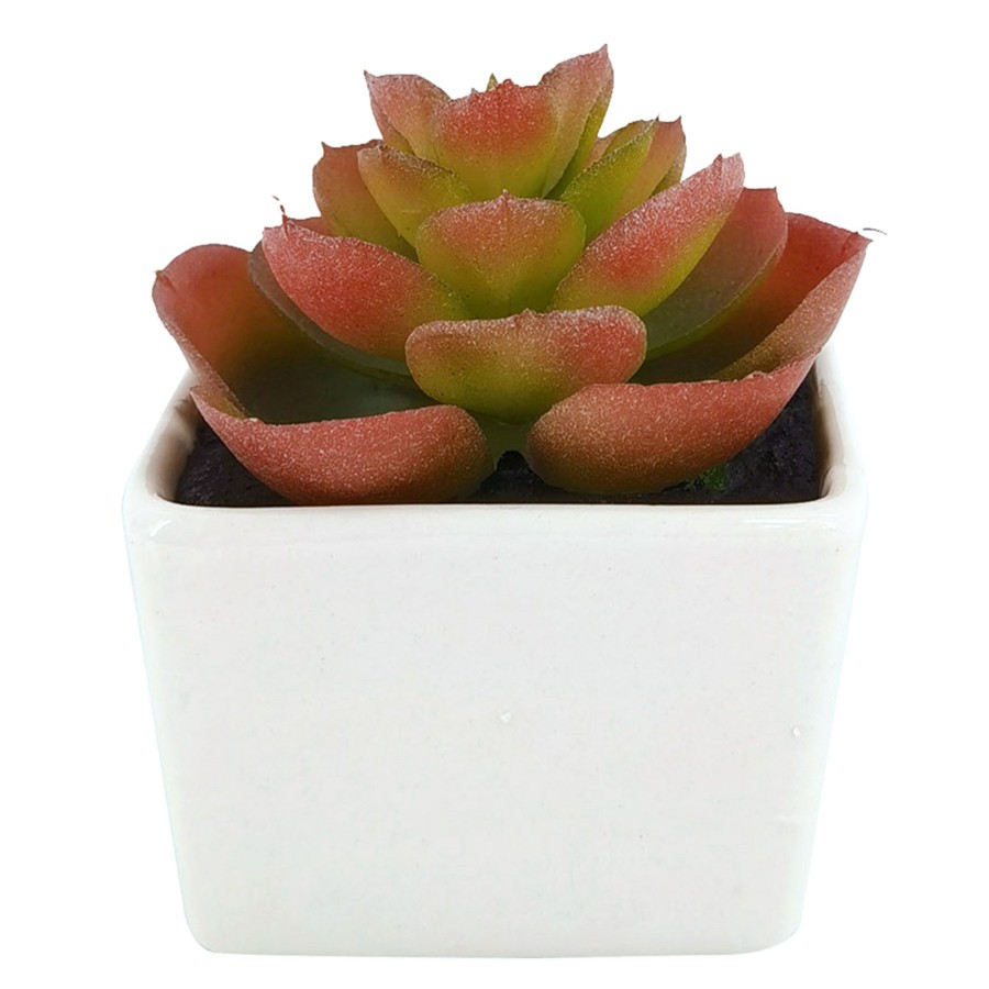 D Cor & Pillows * | Premium Succulent Ceramic Pot Red