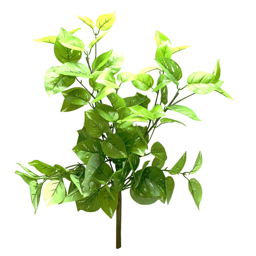 D Cor & Pillows * | Outlet Sale Pothos Hanging Bush, 26