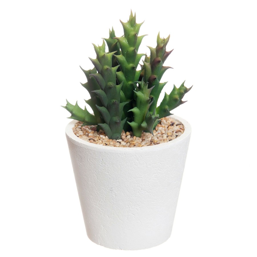 D Cor & Pillows * | Outlet Sale Succulent With White Planter, 5.5