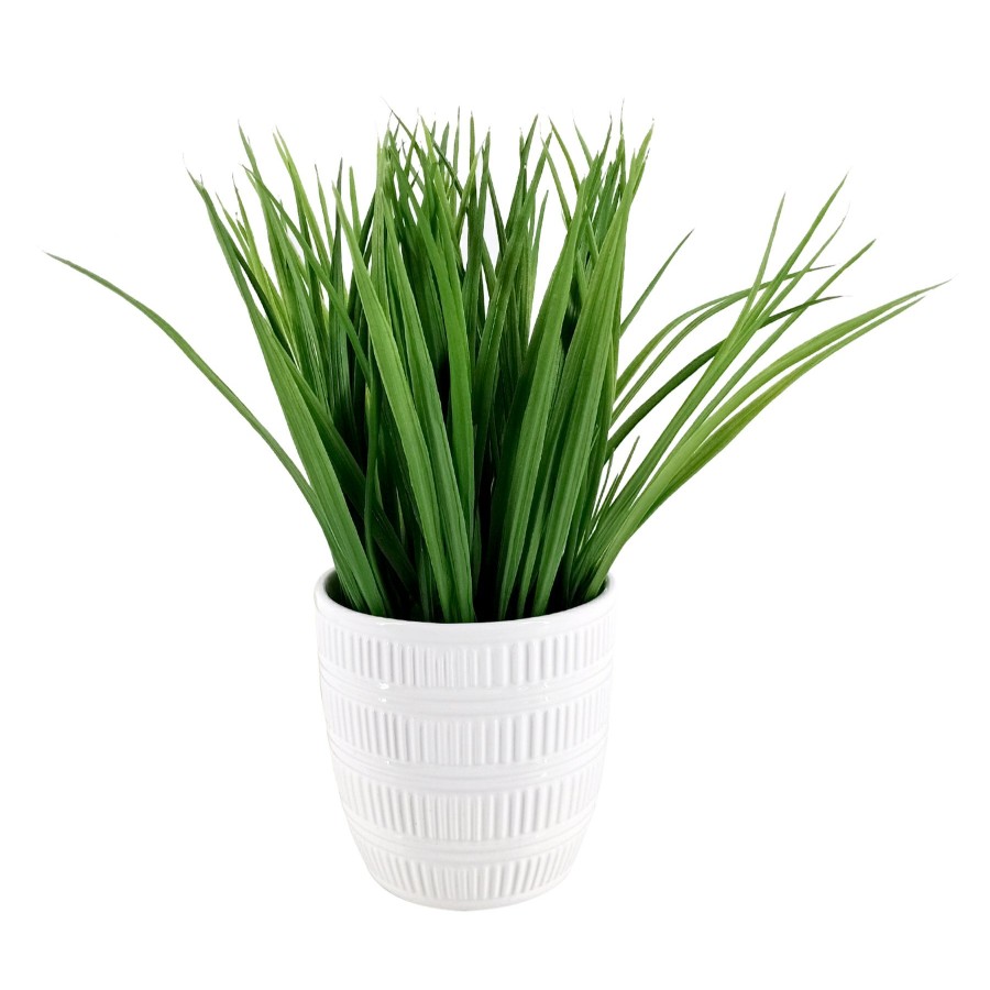 D Cor & Pillows * | Best Sellers Grass Plant With White Planter, 10