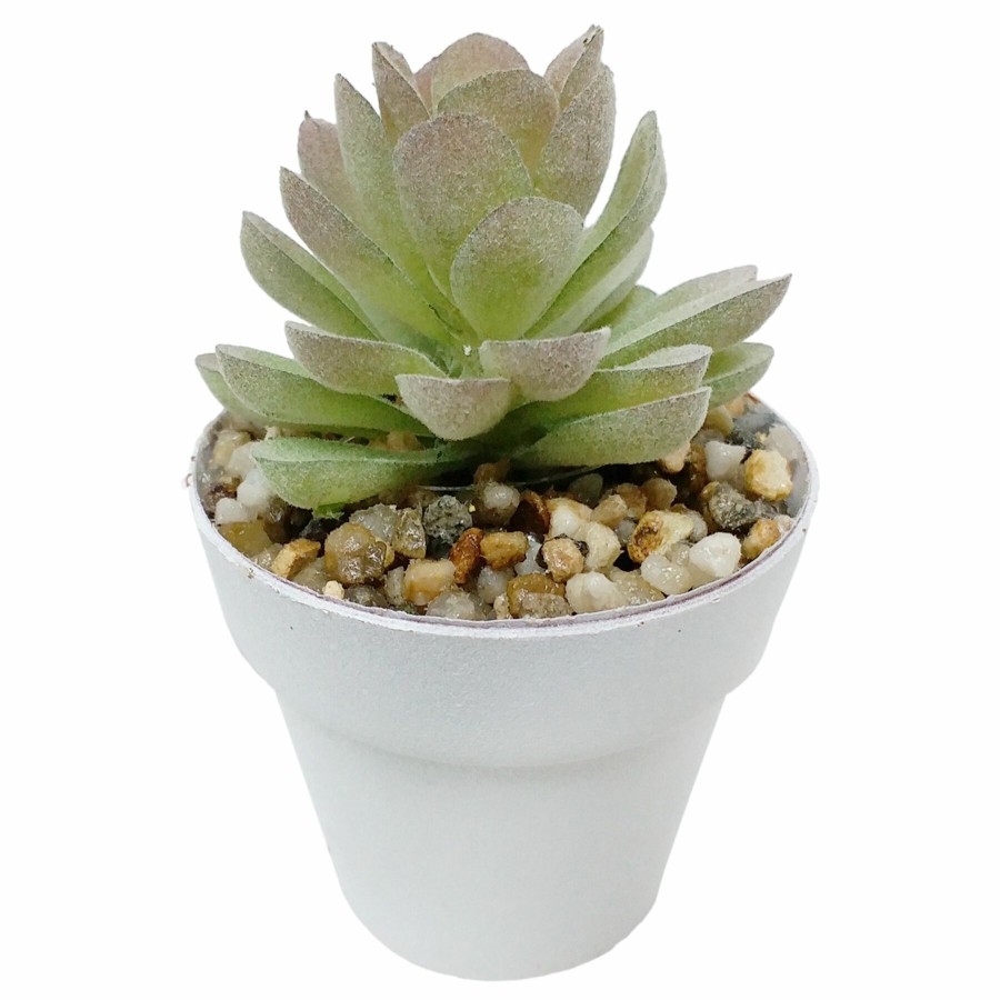 D Cor & Pillows * | Outlet Sale Succulent With White Planter, 3.5