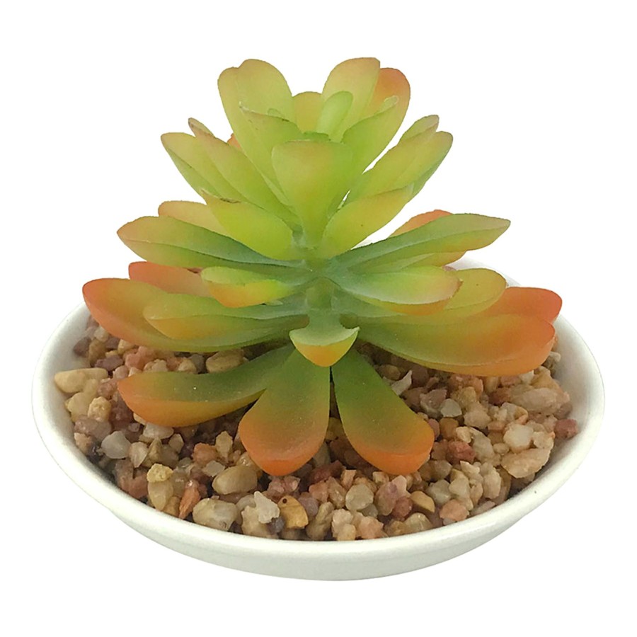 D Cor & Pillows * | Cheap Online 3.5In Succulent Plastcpot White