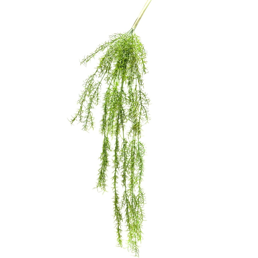 D Cor & Pillows * | Top Sellers Sprengeri Hanging Bush, 39