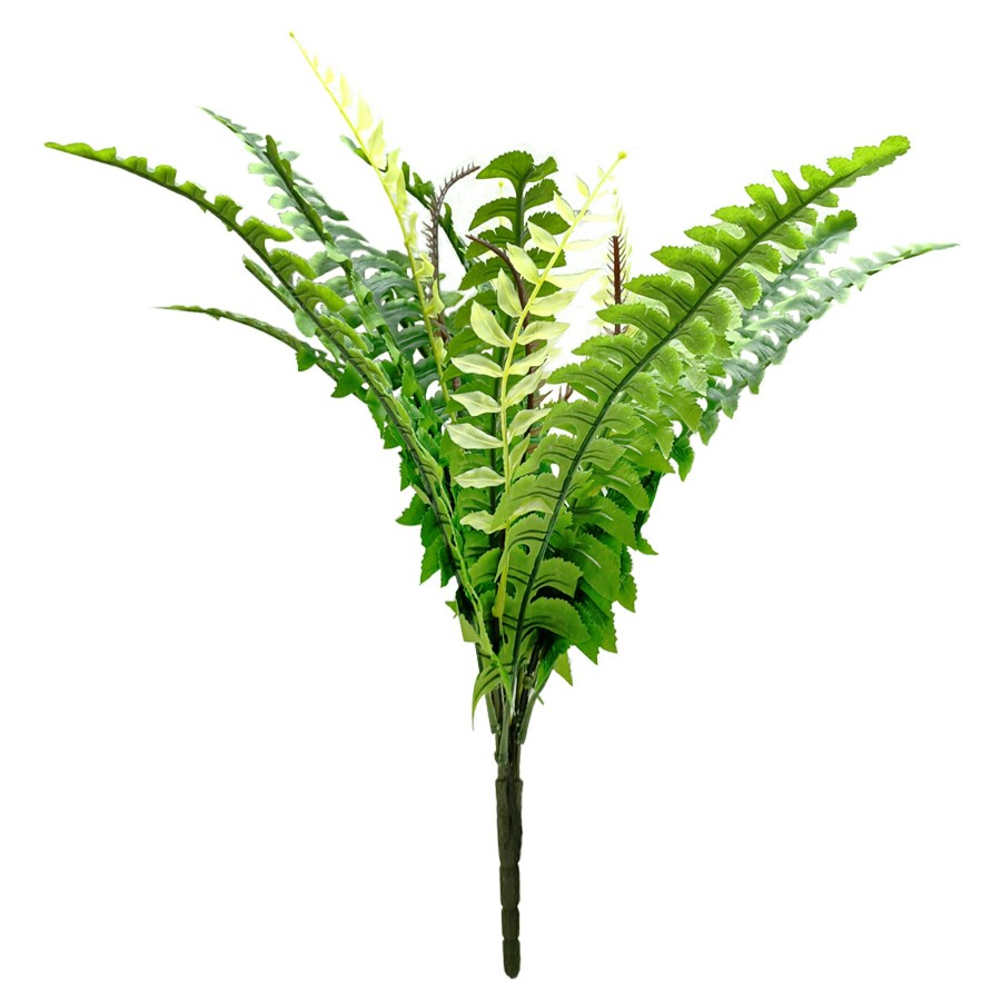 D Cor & Pillows * | Closeout Sale Boston Fern Bush, 19