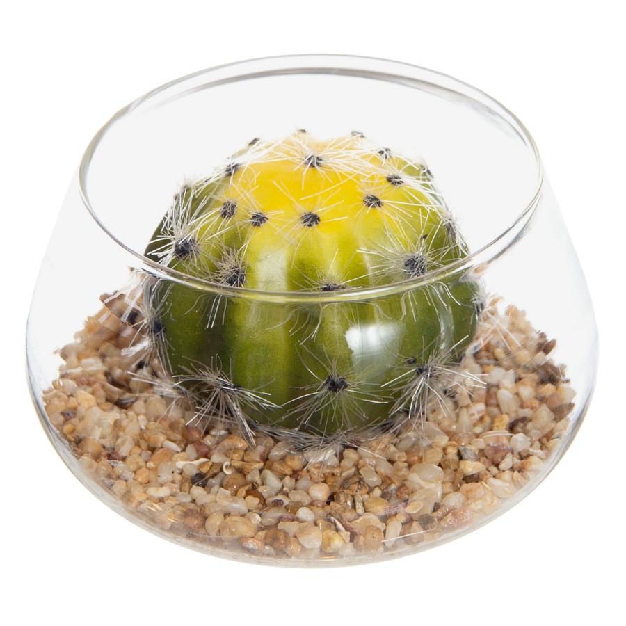 D Cor & Pillows * | Flash Sale Barrel Cactus With Glass Planter, 3