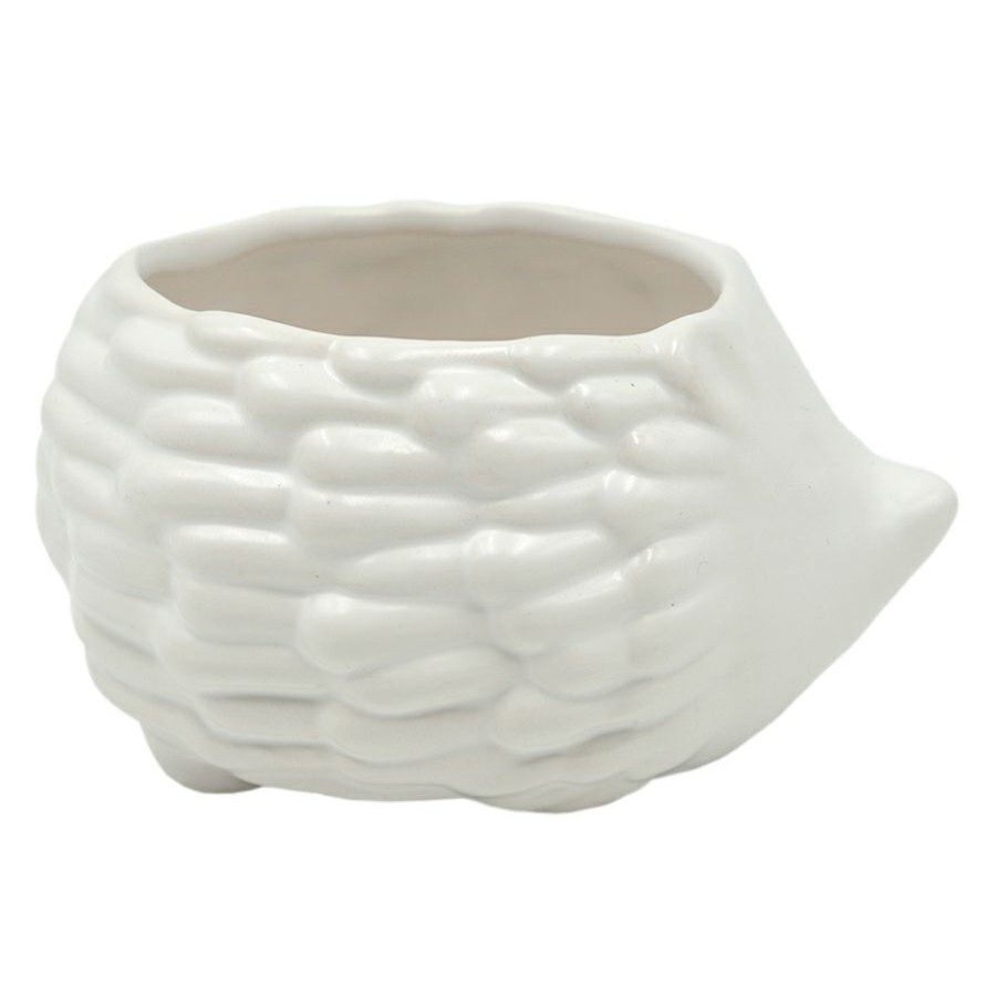 D Cor & Pillows * | Exclusive White Hedgehog Pot, 3